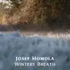 Josef Homola - Wintery Breath